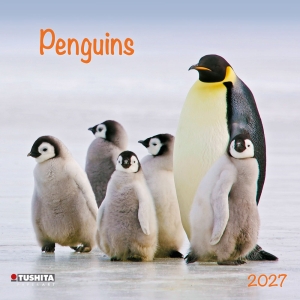 Kalender 2027Penguins