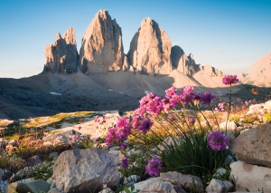 Postkarte – Drei Zinnen, Sextner Dolomiten