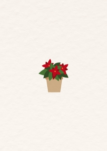Postkarte - Weihnachtsstern