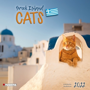Greek Island Cats 2022