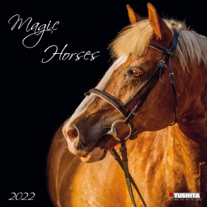 Magic Horses 2022