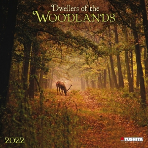 Woodlands/Bewohner des Waldes 2022