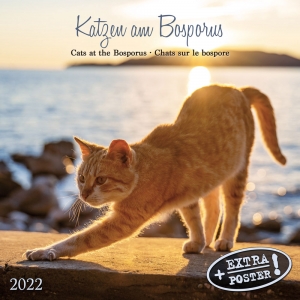 Cats at the Bosperous/Katzen am Bosporus 2022
