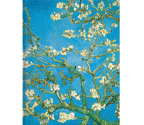 Vincent van Gogh - Mandelbaumzweige  ***  